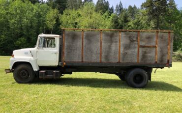 Ford-ln-750-1976-white