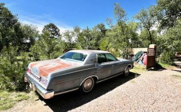 Ford-ltd-1973-blue-2