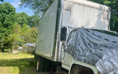 Ford med. hvy. convnt diesel 1994