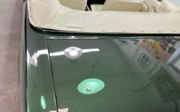 Ford-mustang-1966-green-8