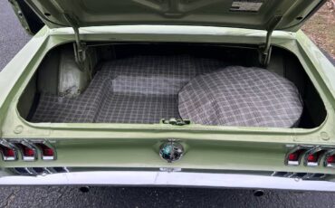 Ford-mustang-1967-green-6