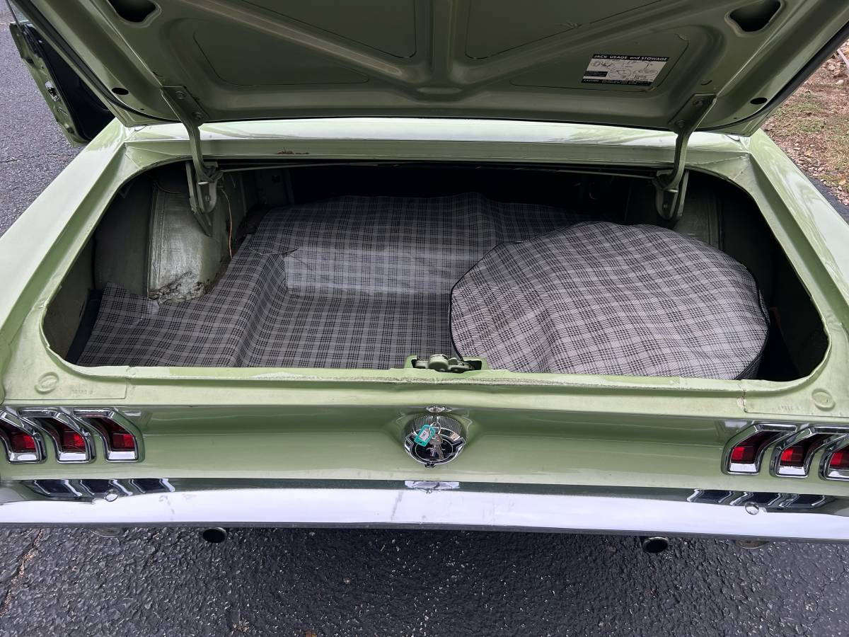 Ford-mustang-1967-green-6