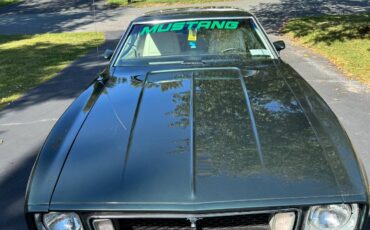 Ford-mustang-1973-green