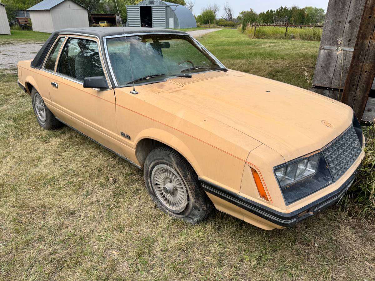 Ford-mustang-1979-1