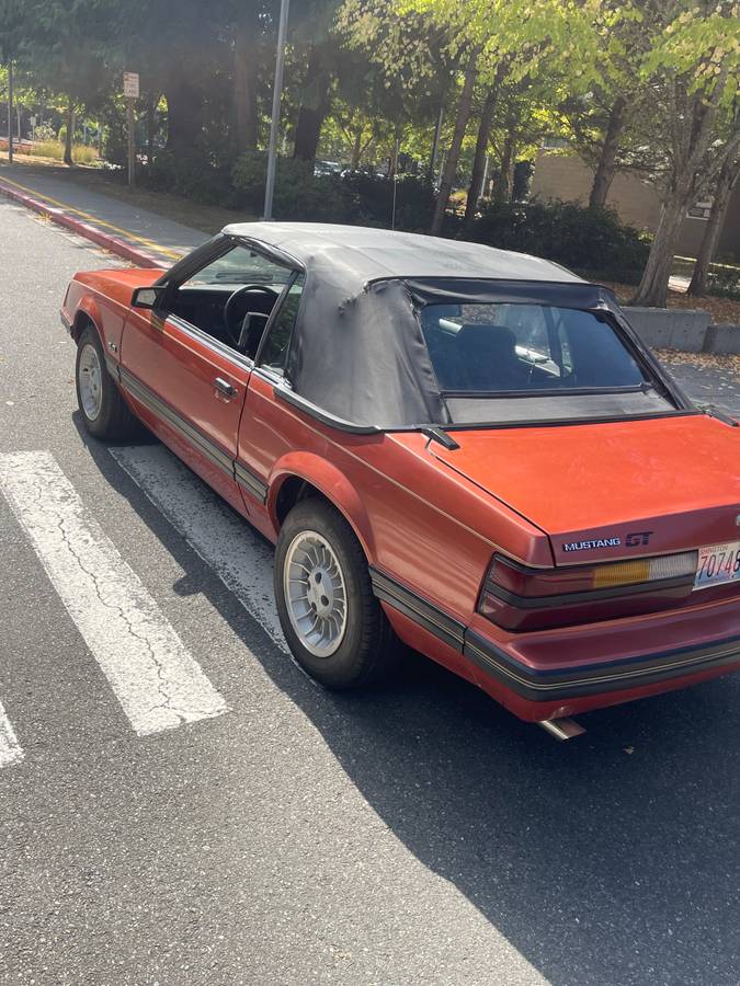 Ford-mustang-1984-1