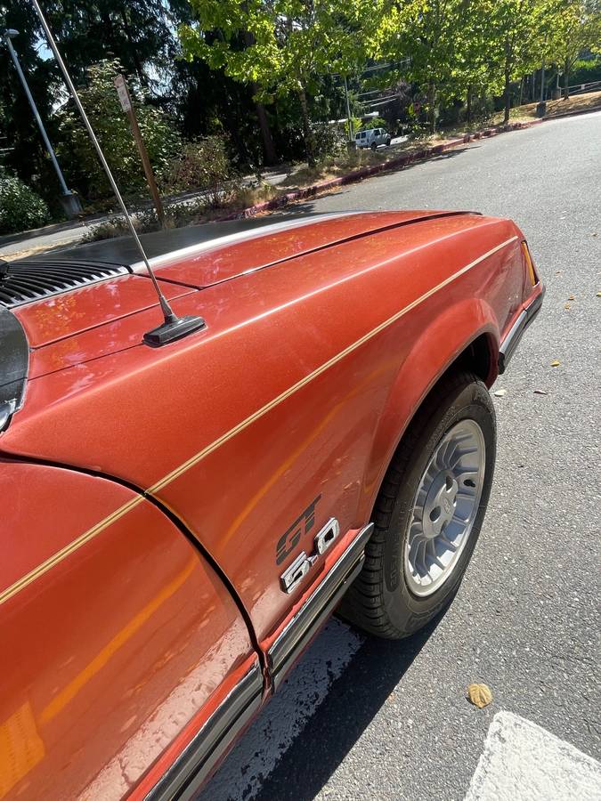 Ford-mustang-1984-10