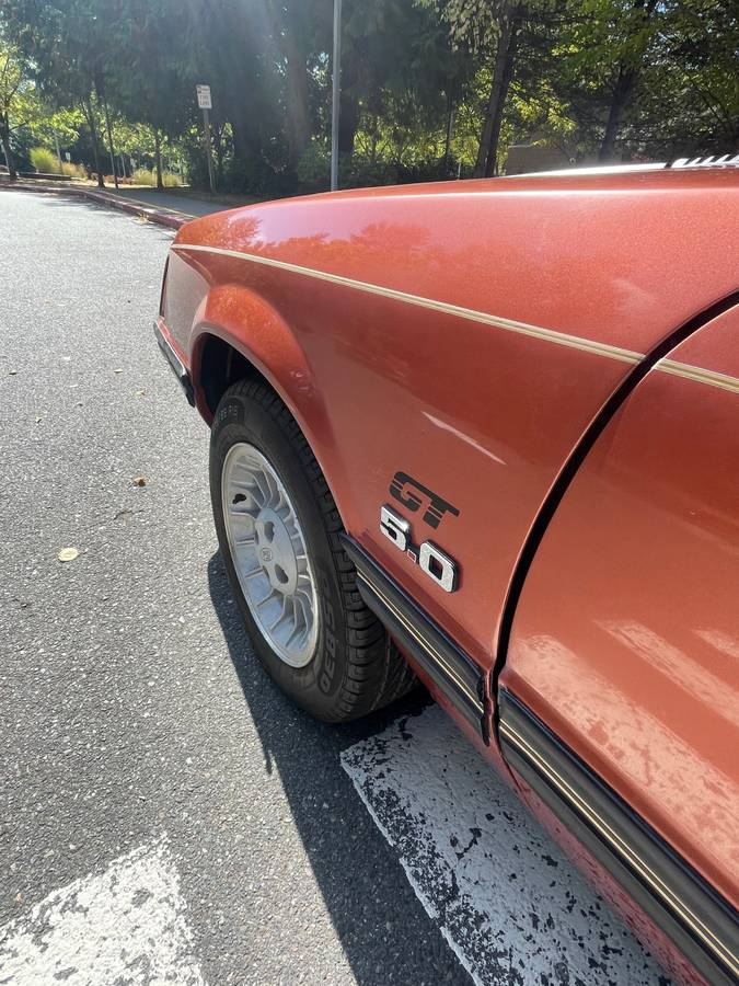 Ford-mustang-1984-13