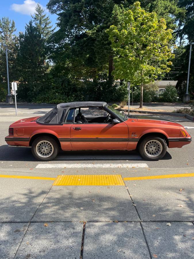 Ford-mustang-1984-14