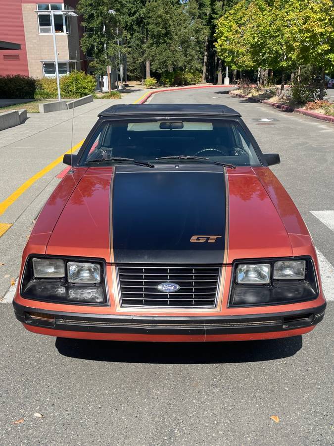 Ford-mustang-1984-6