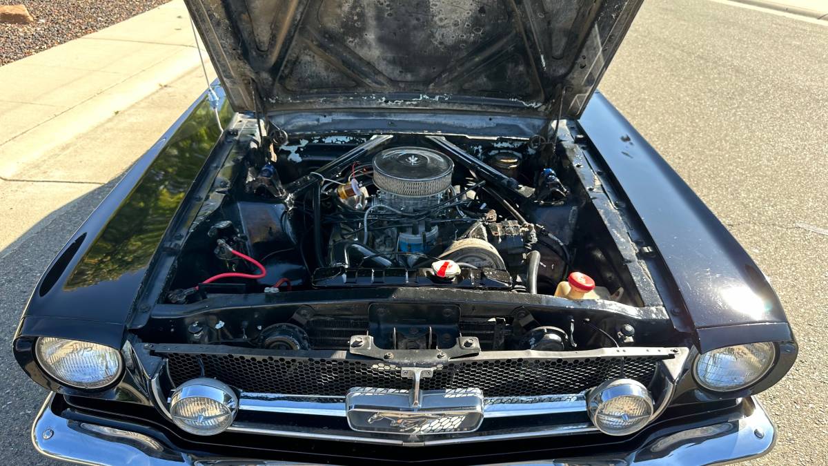Ford-mustang-gt-coupe-1965-black-18