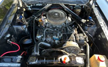 Ford-mustang-gt-coupe-1965-black-19