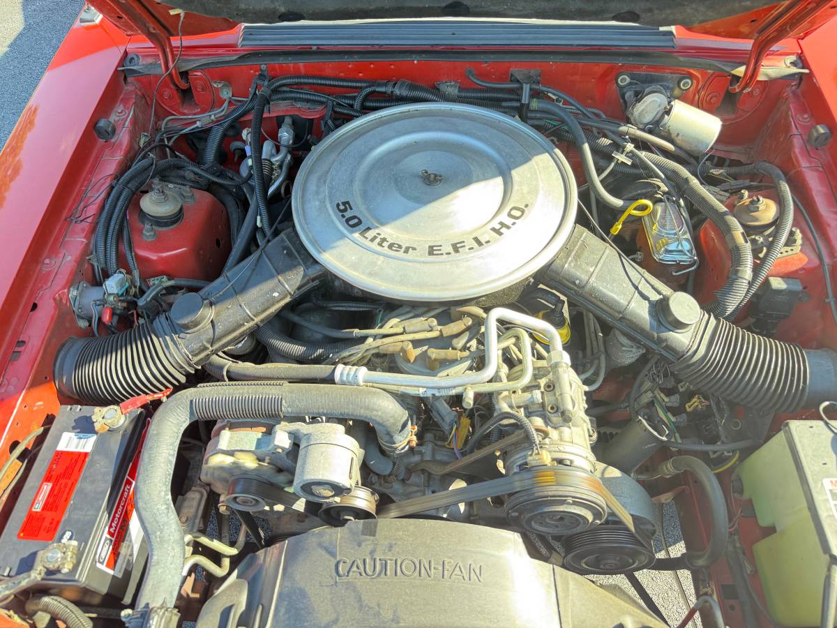 Ford-mustang-lx-convertible-5.0-1985-red-13