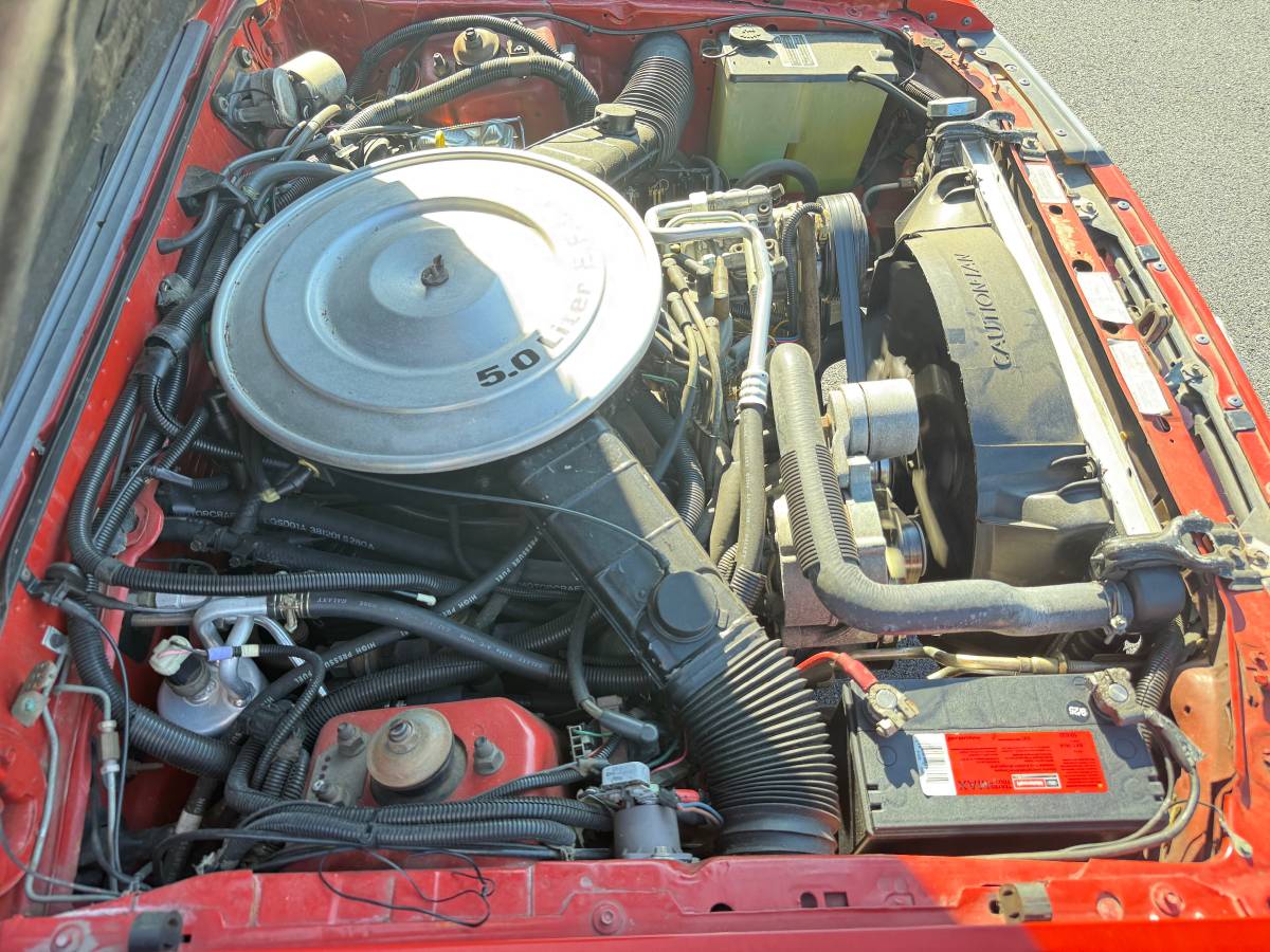 Ford-mustang-lx-convertible-5.0-1985-red-14