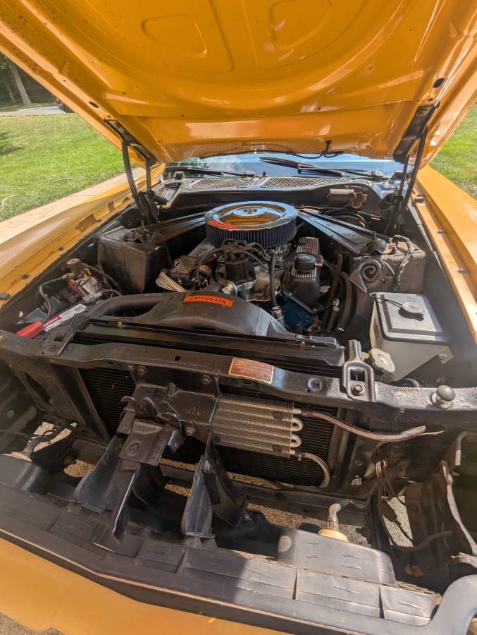 Ford-mustang-mach-1-1971-yellow-4