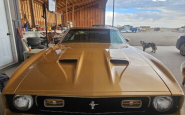 Ford-mustang-mach-1-1972-2