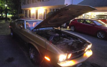 Ford-mustang-mach-1-1973-1