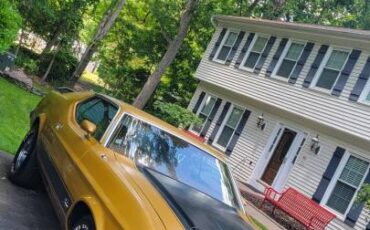 Ford-mustang-mach-1-1973-12