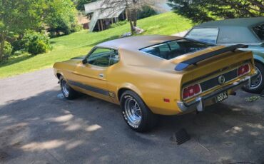 Ford-mustang-mach-1-1973-13
