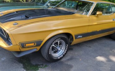 Ford-mustang-mach-1-1973-14