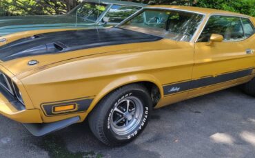 Ford-mustang-mach-1-1973-15