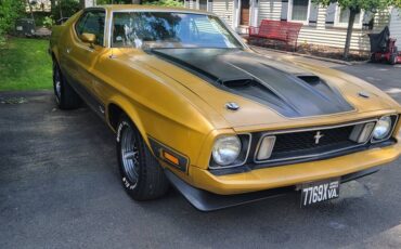 Ford-mustang-mach-1-1973-16