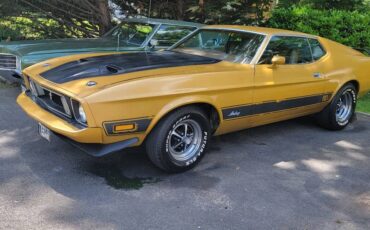 Ford-mustang-mach-1-1973-17