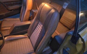 Ford-mustang-mach-1-1973-6