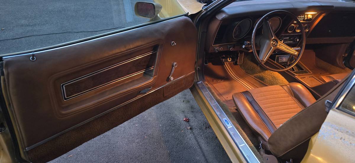Ford-mustang-mach-1-1973-9