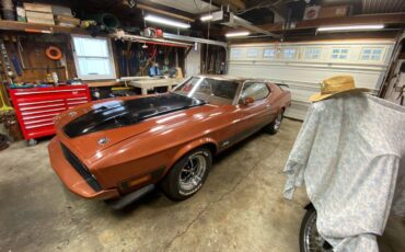 Ford-mustang-mach-1-1973-orange-12