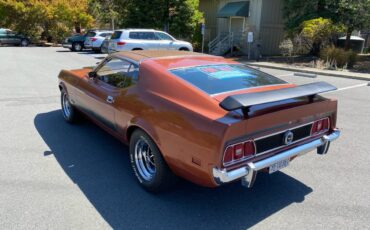 Ford-mustang-mach-1-1973-orange-2
