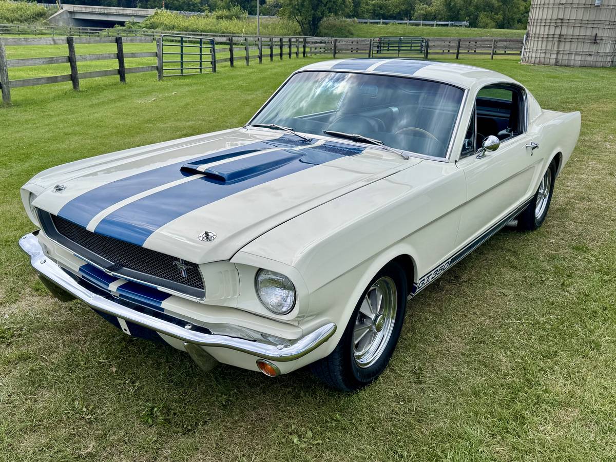 Ford-mustang-shelby-gt350-1966-white-10