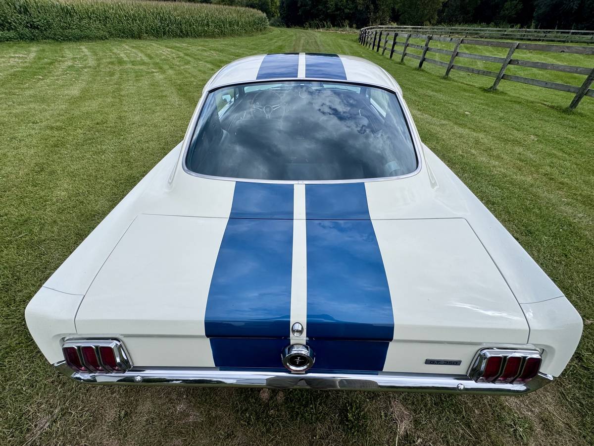 Ford-mustang-shelby-gt350-1966-white-123