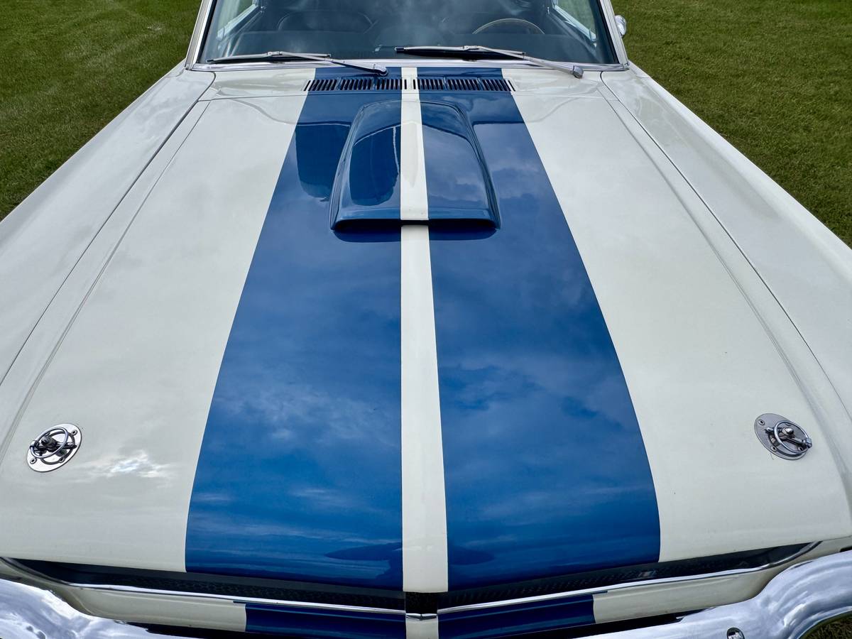 Ford-mustang-shelby-gt350-1966-white-4