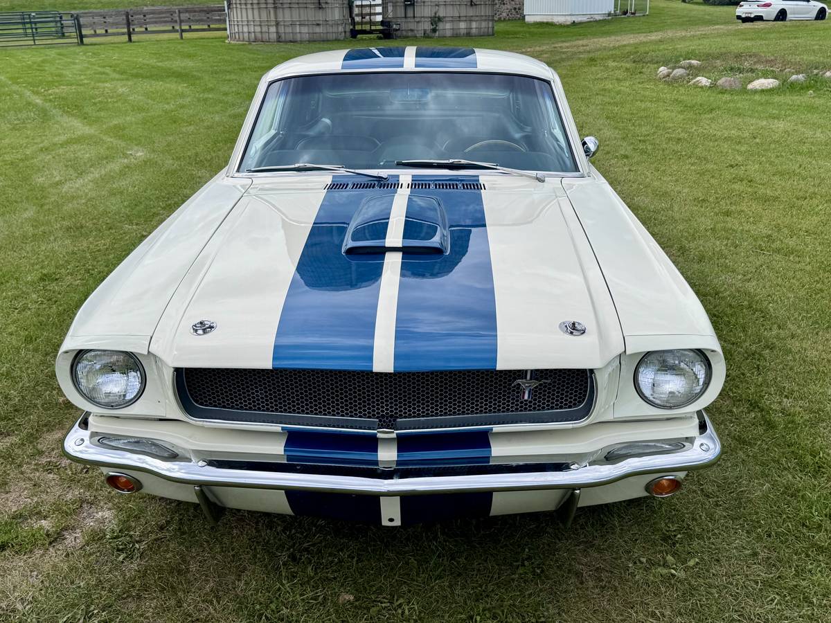 Ford-mustang-shelby-gt350-1966-white-45