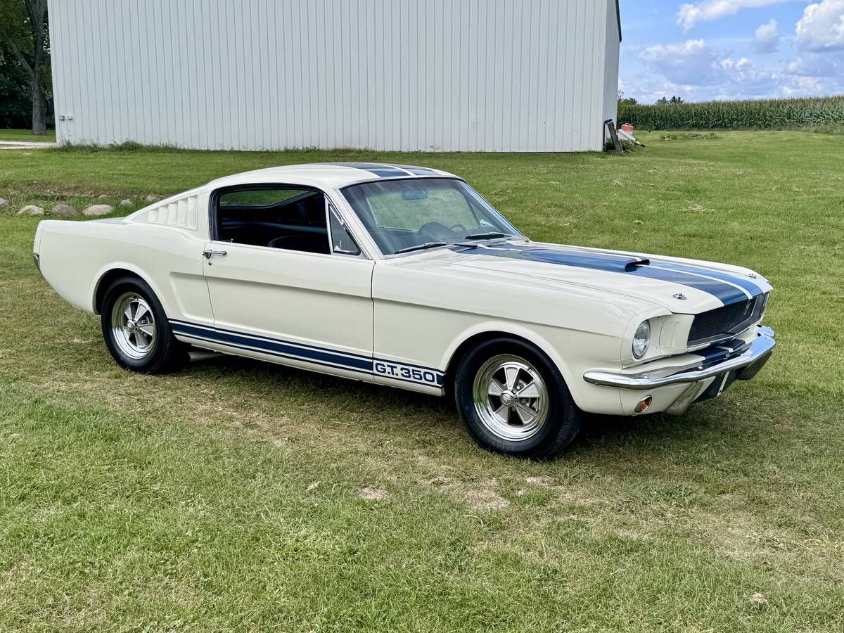 Ford-mustang-shelby-gt350-1966-white-61