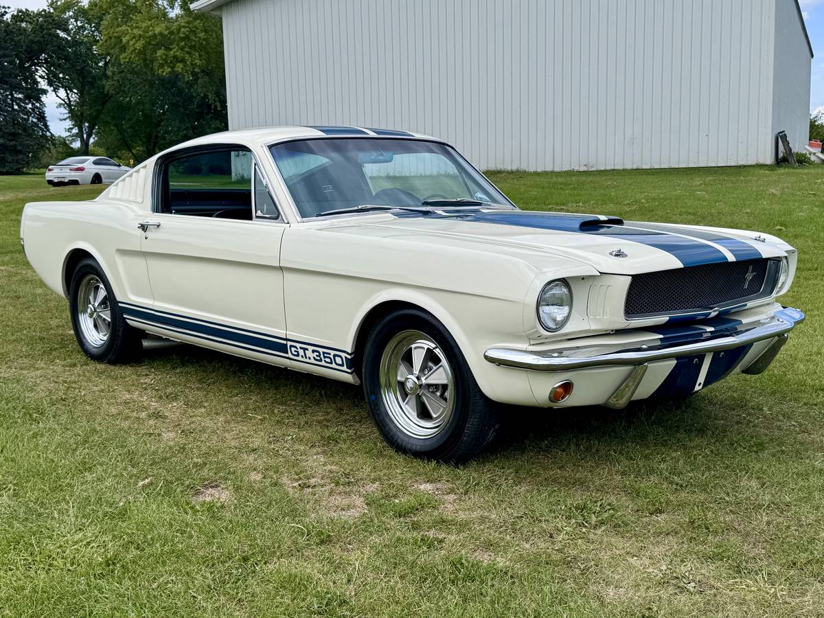 Ford-mustang-shelby-gt350-1966-white-62