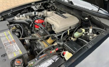 Ford-mustang-svt-cobra-1995-black-12