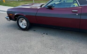 Ford-ranchero-gt-1976-7