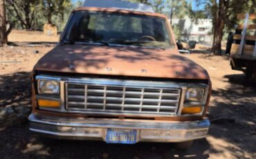 Ford-ranger-1981-brown