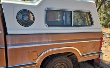 Ford-ranger-1981-brown-4