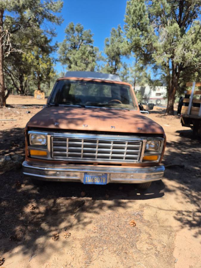 Ford-ranger-1981-brown