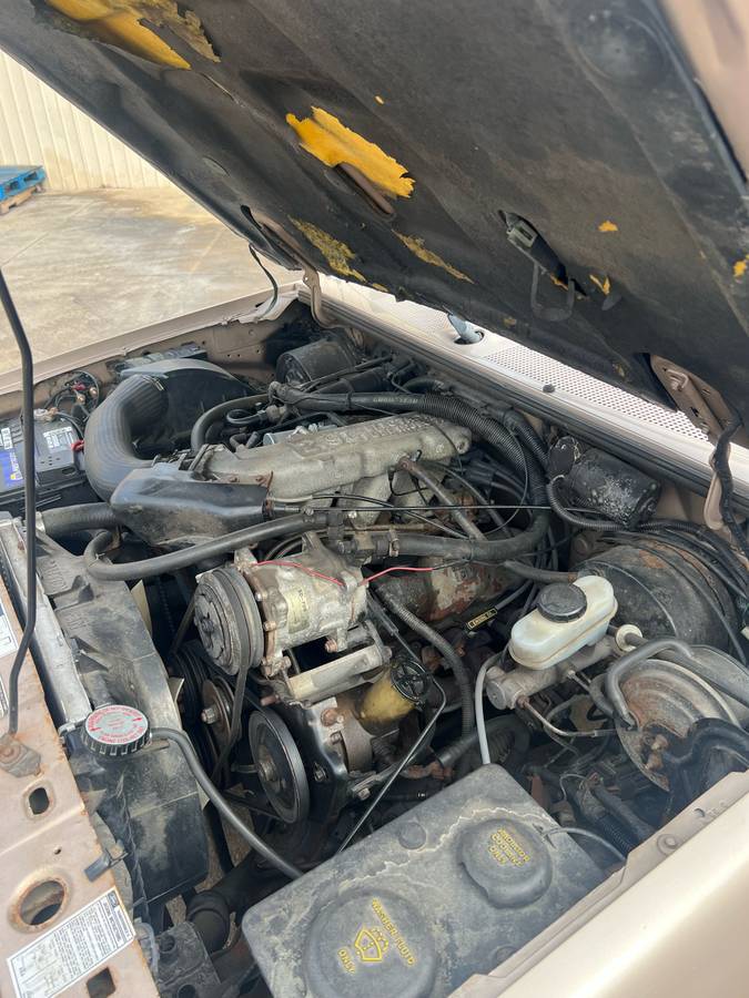 Ford-ranger-1992-19