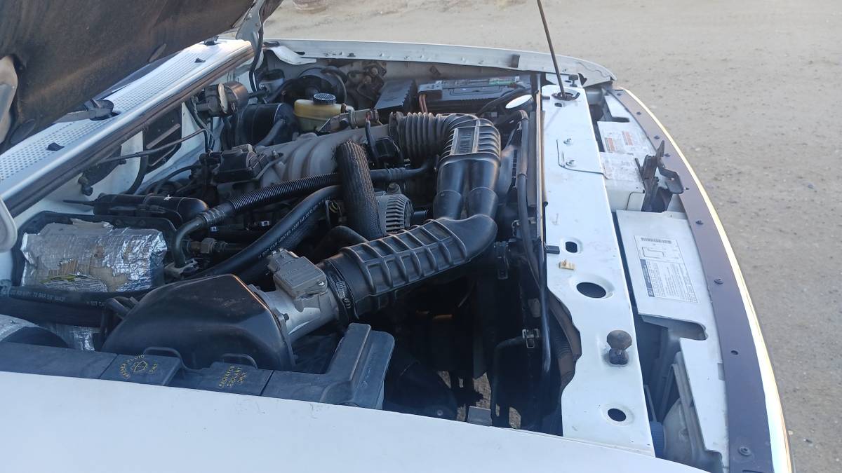 Ford-ranger-1994-white-17