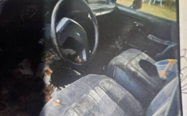 Ford-ranger-xl-1992-white-3
