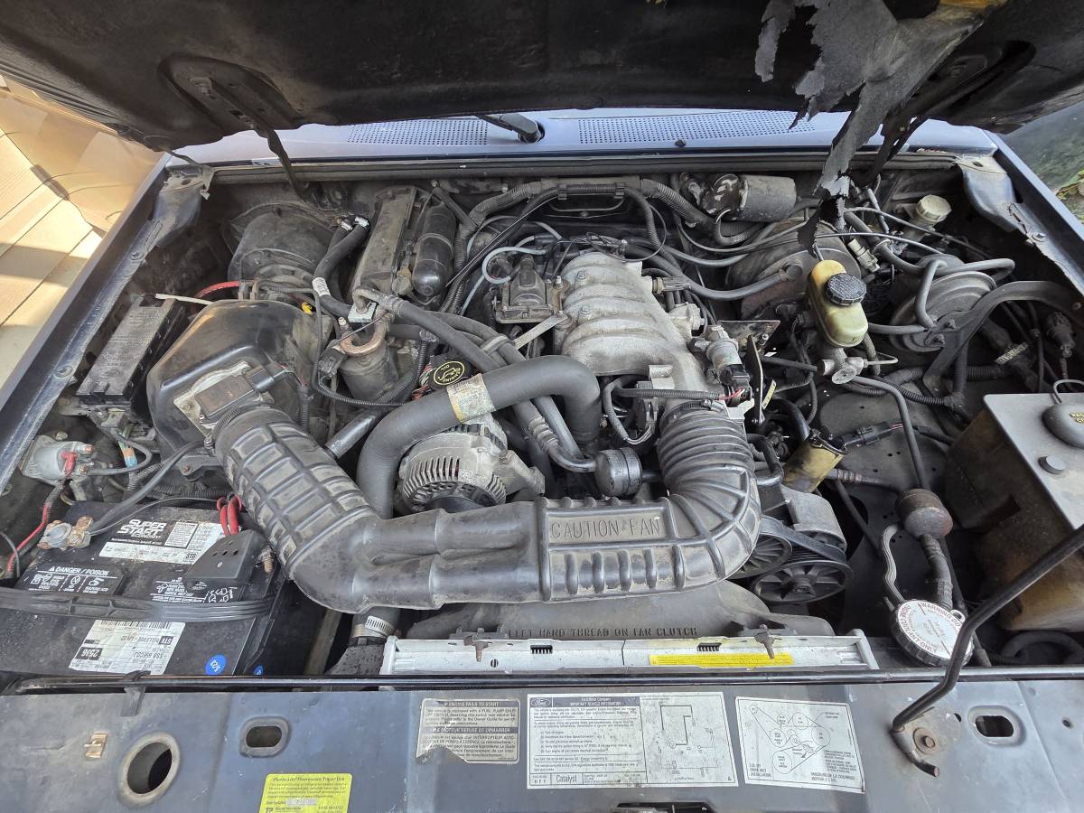 Ford-ranger-xlt-1992-blue-1