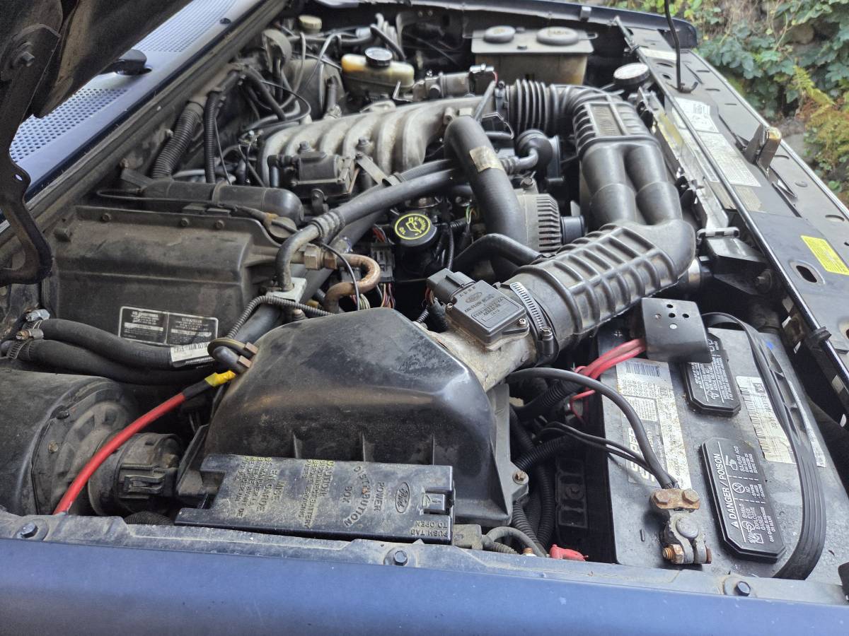 Ford-ranger-xlt-1992-blue-2