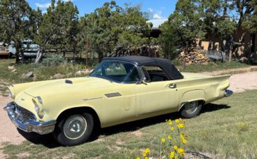 Ford-thunderbird-1957-yellow-16