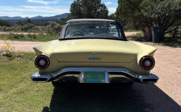 Ford-thunderbird-1957-yellow-19