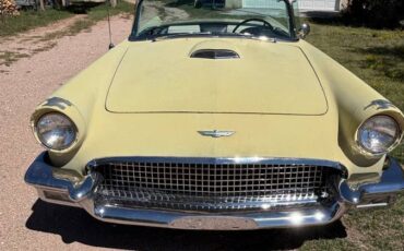 Ford-thunderbird-1957-yellow-21