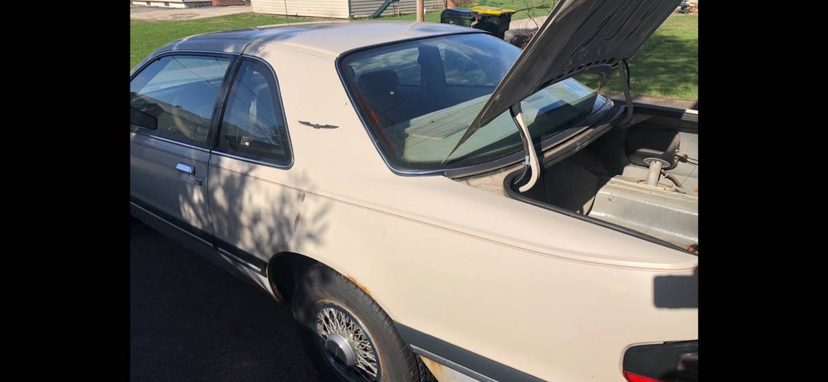 Ford-thunderbird-1988-2
